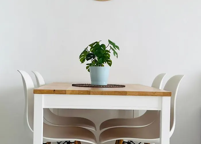 The Terrace * 巴哈马尔